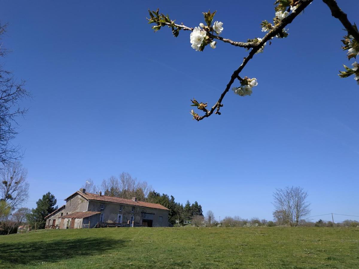 Maison Au Calme Avec Vue Etang Clesse  Buitenkant foto