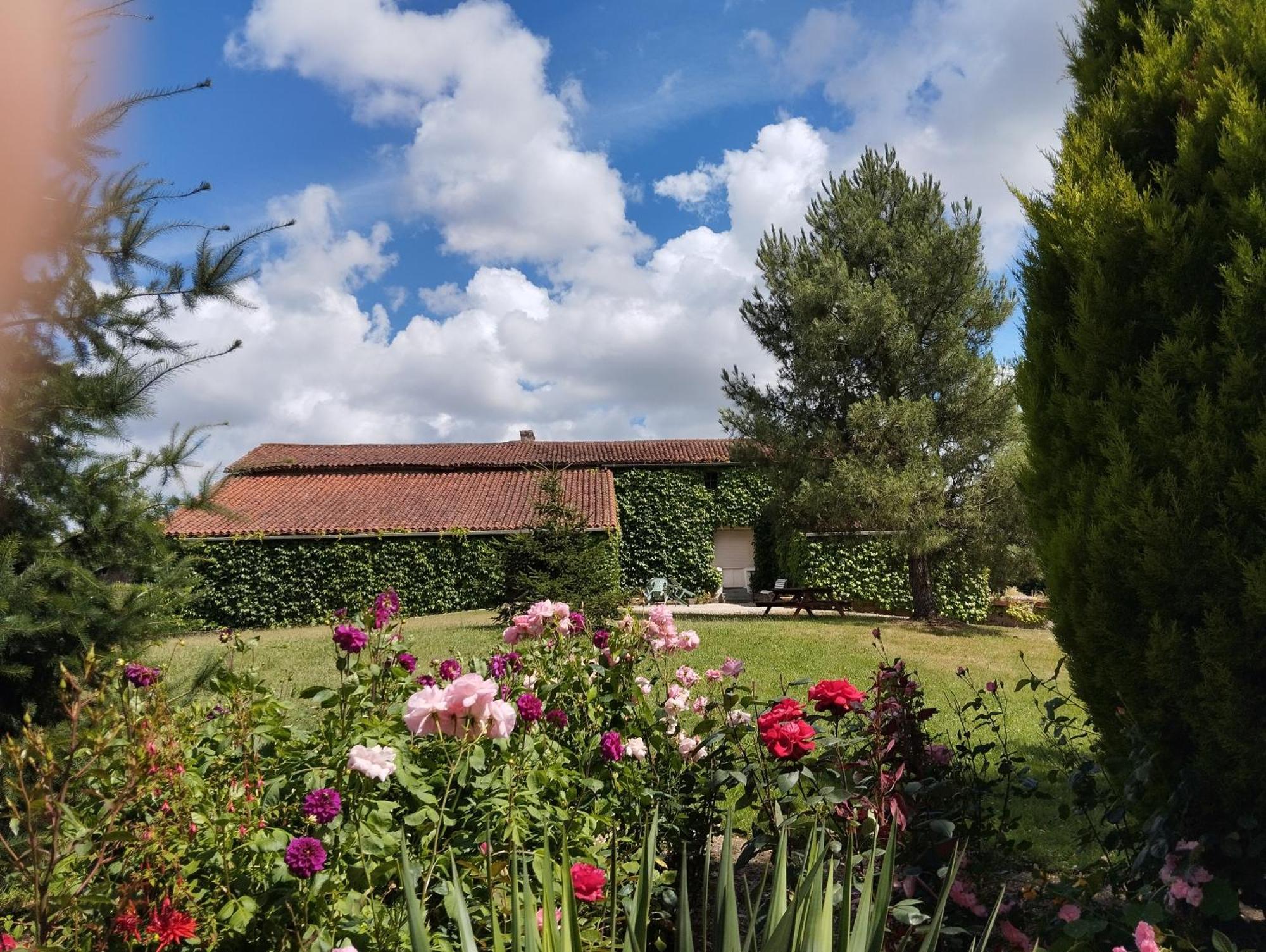 Maison Au Calme Avec Vue Etang Clesse  Buitenkant foto