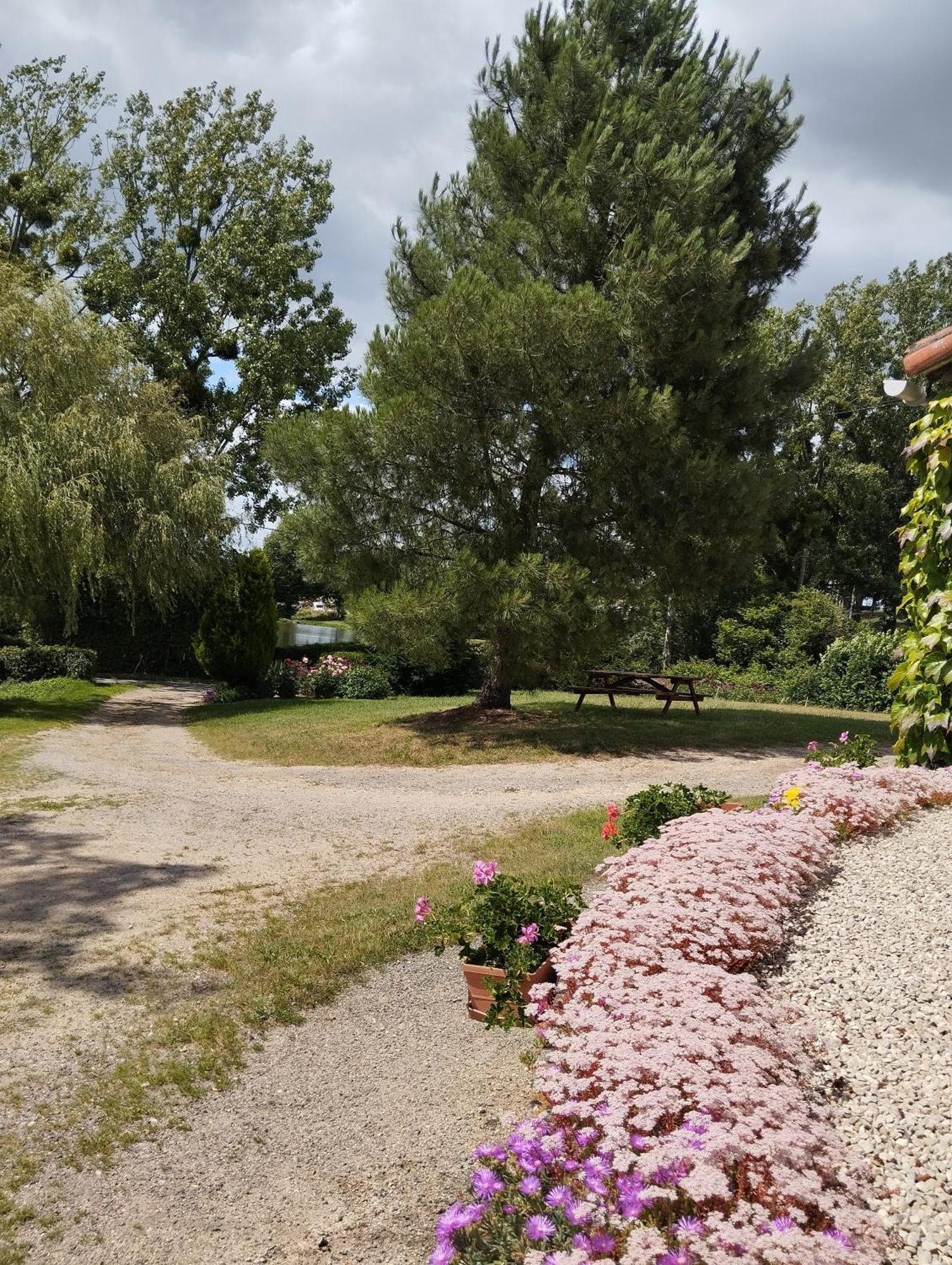 Maison Au Calme Avec Vue Etang Clesse  Buitenkant foto